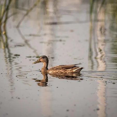 Resort Geovita W Jadwisinie 3*