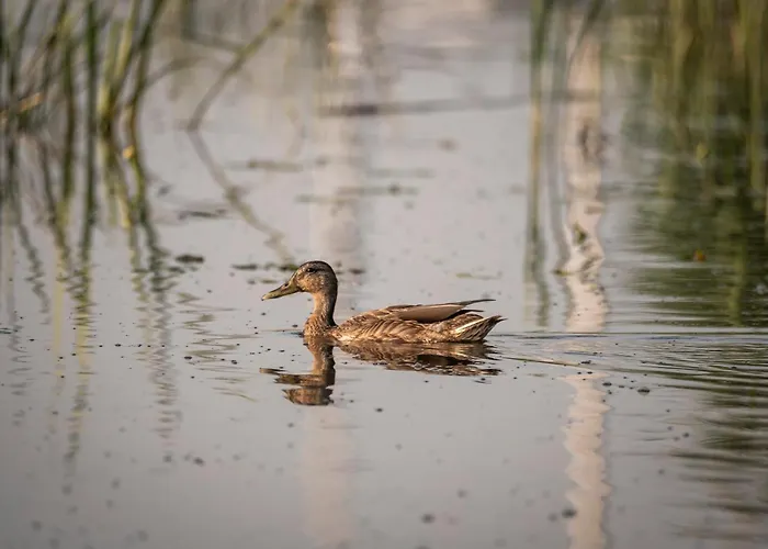 Ośrodek wypoczynkowy Geovita W Jadwisinie 3*